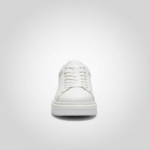 Noivin White — Grey Background